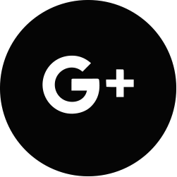 Google+